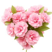 July Love gift