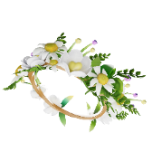 Midsummer Hair gift