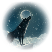 Black Wolf gift