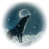 Black Wolf