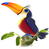 Toucan