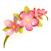 Flower Headband gift