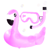 Flamingo Groove gift