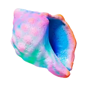 Shell