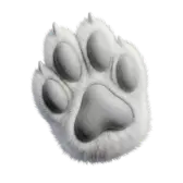 White paw TikTok gift
