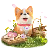 Spring Picnic