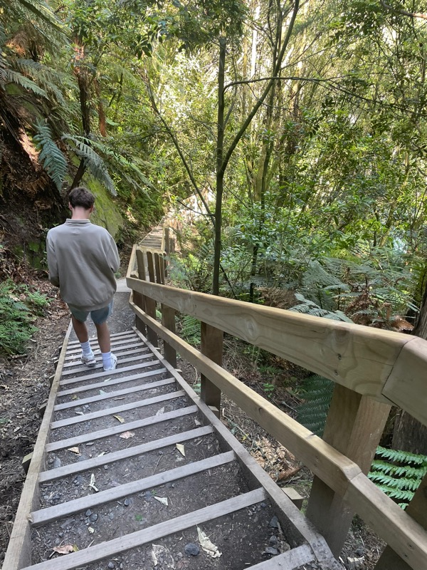 angus raftery (@angusrafteryyy) is LIVE - TikTok LIVE