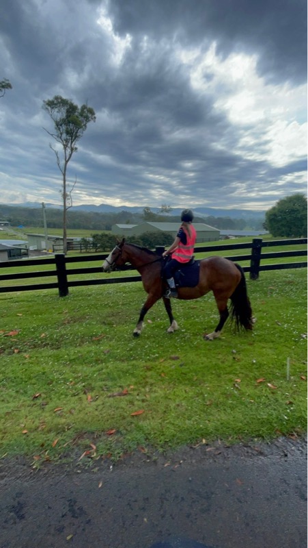Jala💗 (@jala.koala) is LIVE - TikTok LIVE
