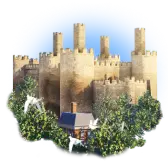 Castle Skyline TikTok gift