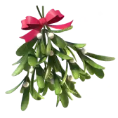 Mistletoe