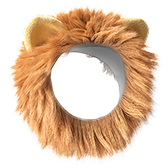 Lion’s Mane gift