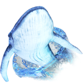Whale Diving gift