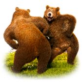 Dancing Bears gift