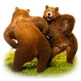 Dancing Bears