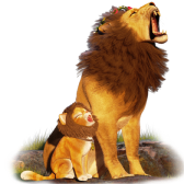 Leon and Lion gift