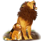 Leon and Lion image