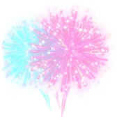 Fireworks show