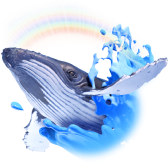 Sam the Whale gift
