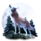 Wolf gift