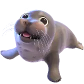 Hi Seal