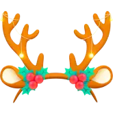 Reindeer