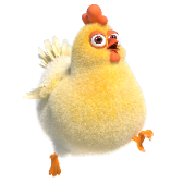 Naughty Chicken gift