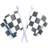 Chequered Flag