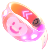 Team Bracelet gift
