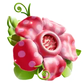Rafflesia TikTok gift