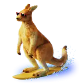 Kangaroo Surfer