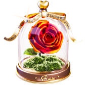 Forever Rosa gift