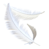 Feather Flock gift