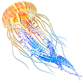 Glowing Jellyfish gift