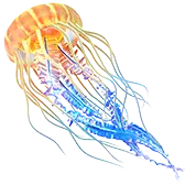 Glowing Jellyfish