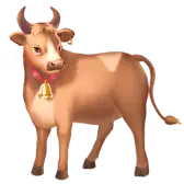 Cow