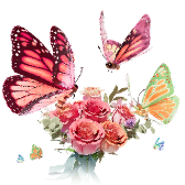 Butterfly for You gift