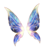 Fairy wings gift
