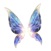 Fairy wings