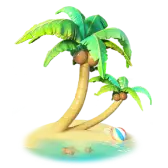 Coconut Tree