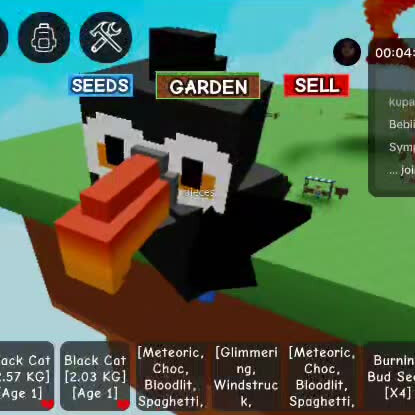 pieces (@helpieces) is LIVE - TikTok LIVE