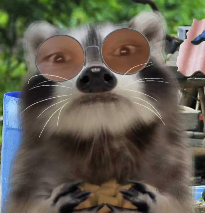 Dj Raccoon🦋😜🦝🇹🇭 (@vjraccoon) is LIVE - TikTok LIVE