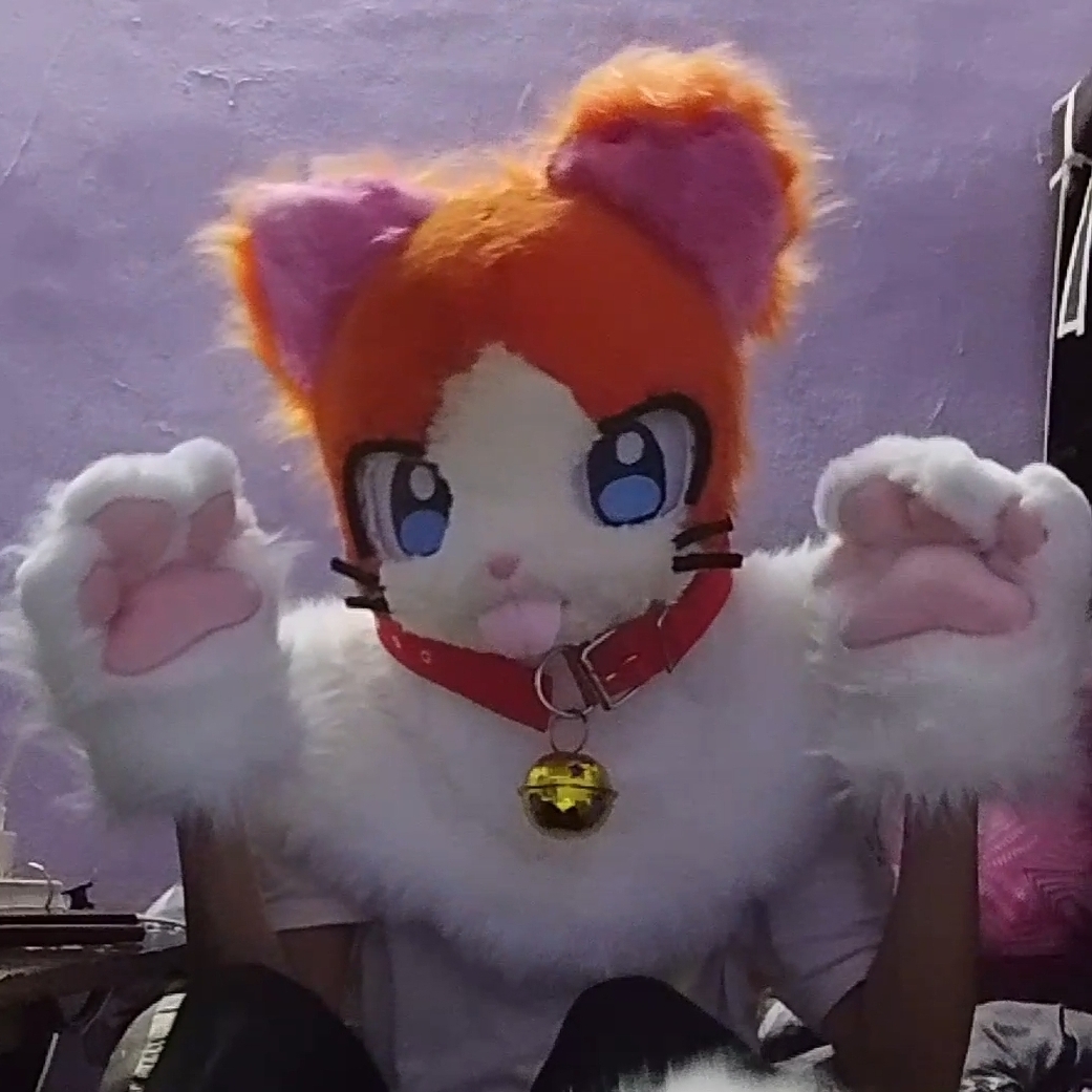 猫Meowriᵏⁱᵗᵗʸฅ(•⩊